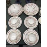 A QUANTITY OF 19TH CENTURY COPELAND SPODE CUPS, SAUCERS AND PLATES PLUS A MUFFIN DISH WITH CABBAGE