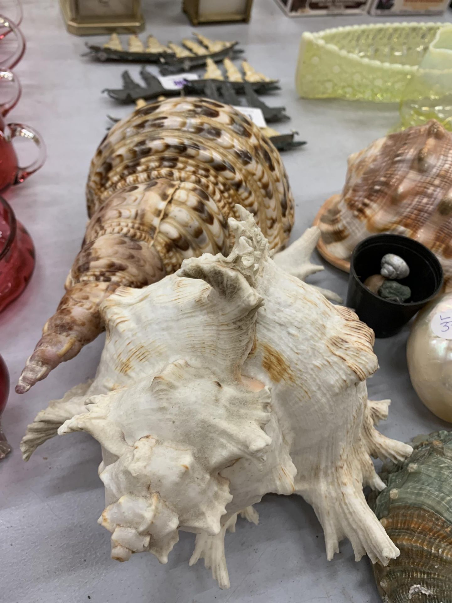A COLLECTION OF ASSORTED DECORATIVE SHELLS - Image 2 of 3