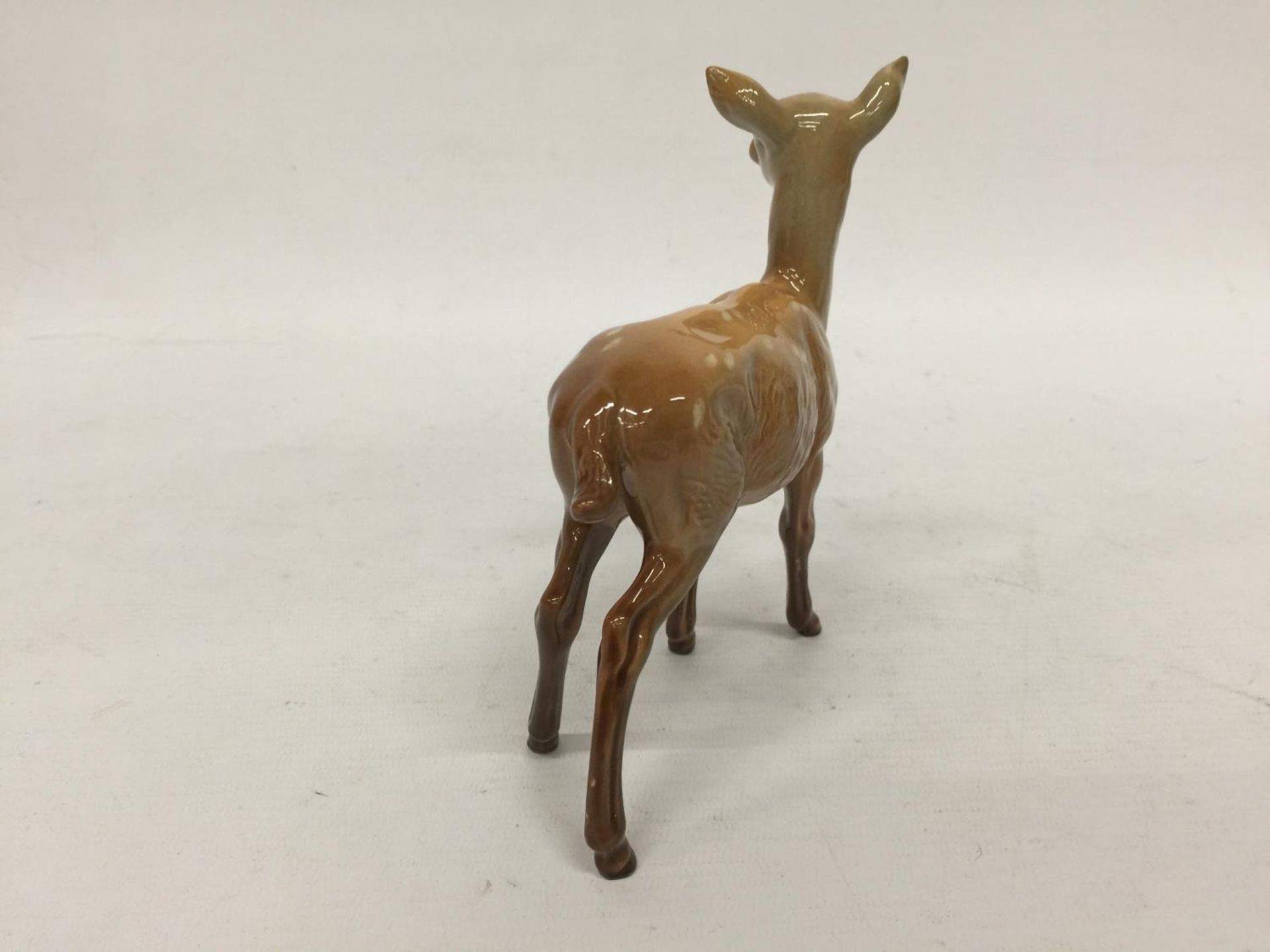 A BESWICK FALLOW DEER DOE - Image 4 of 5