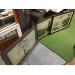 THREE LARGE FRAMED PRINTS, 'THAT MAGIC MOMENT' BY G COULSON, 'SILENT MAJESTY' BY G COULSON, ETC 87CM