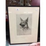 A FRAMED ARTIST PROOF PENCIL DRAWING OF A DOG 'ALERT' SIGNED 'GOFFEY'