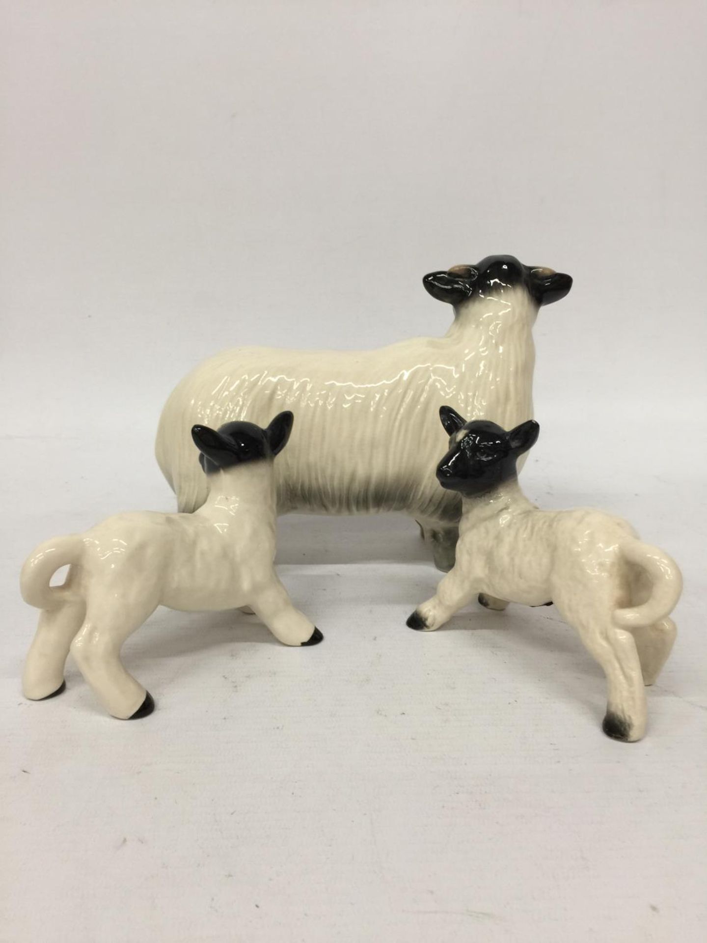 A COOPERCRAFT SHEEP WITH TWO LAMBS - Image 3 of 4