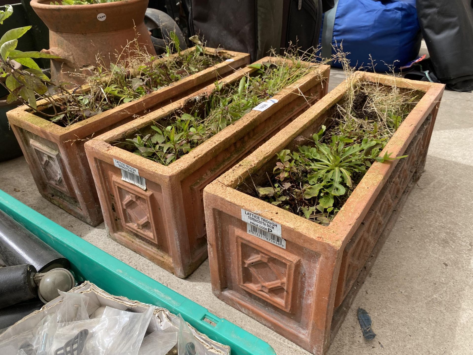 A GROUP OF TERRACOTTA PLANTERS & LATTICE TROUGHS - Image 2 of 3