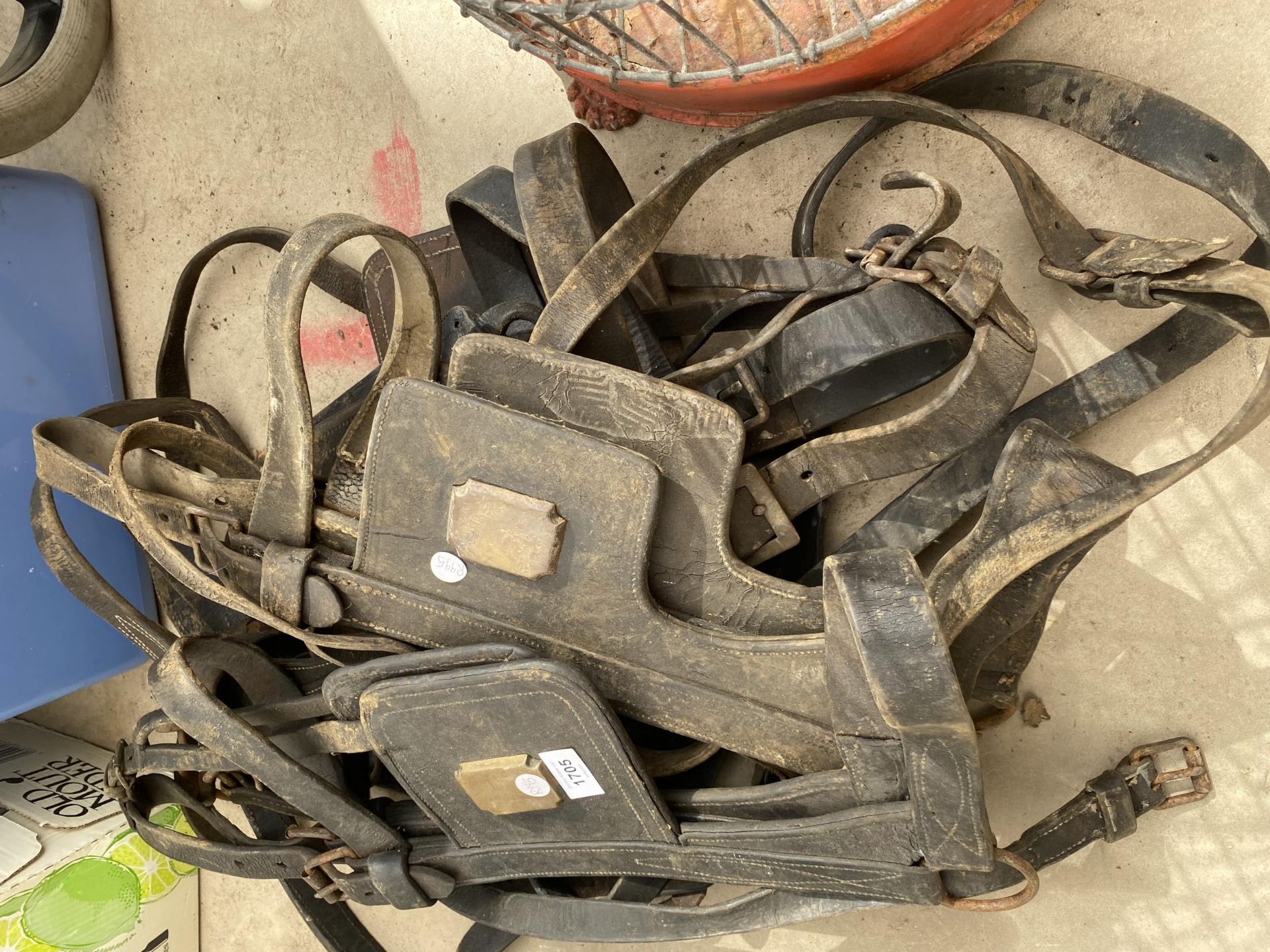 A GROUP OF VINTAGE LEATHER HORSE TACK - Image 2 of 3