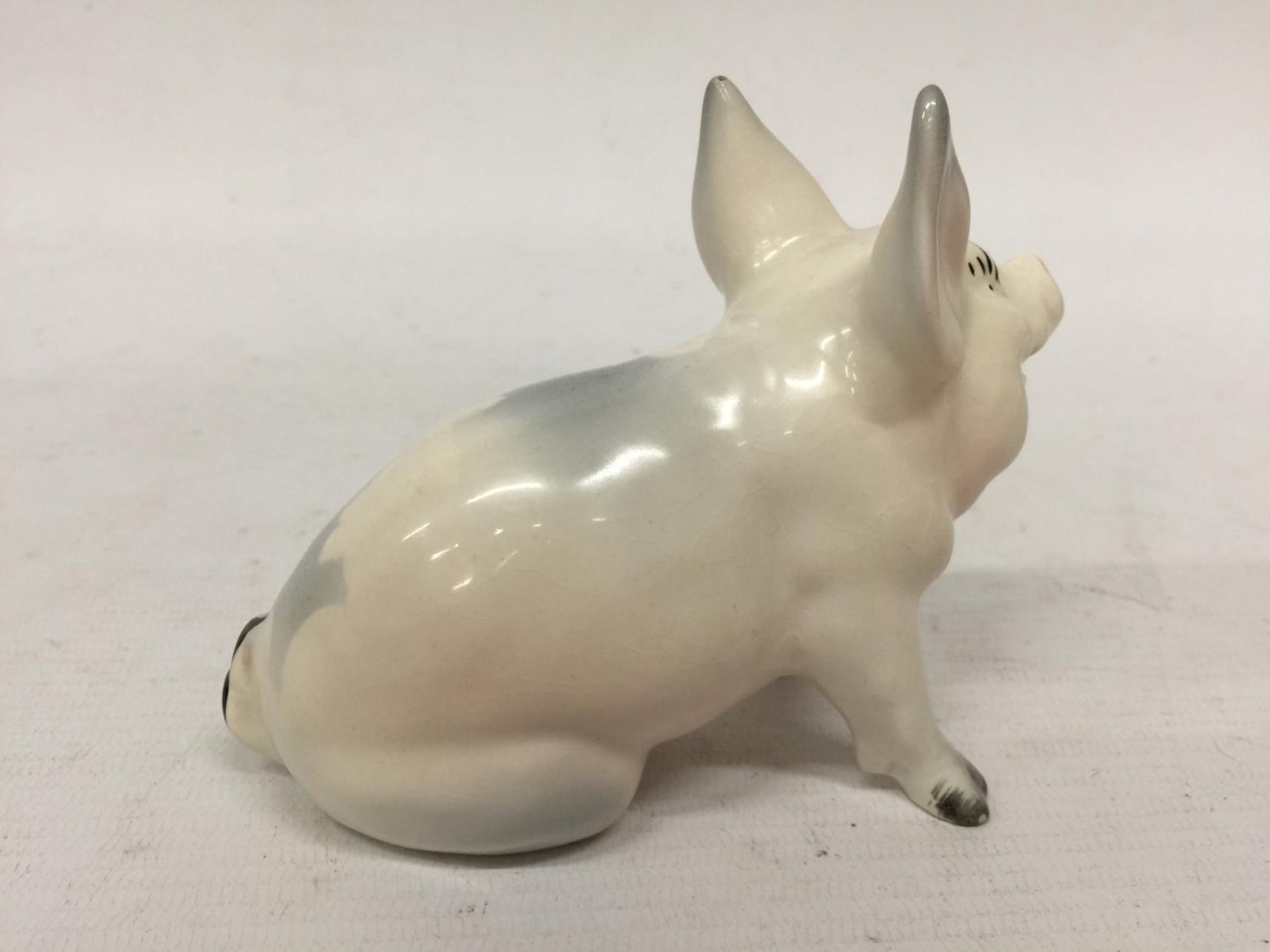 A VINTAGE 1950'S BESWICK SEATED PIG - Image 3 of 5