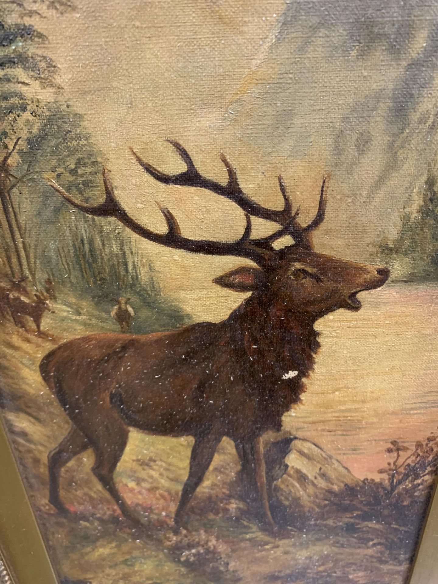 A GILT FRAMED OIL PAINTING OF A STAG, SIGNED A.W FRITAGE, 1920 - Image 3 of 3