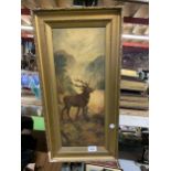 A GILT FRAMED OIL PAINTING OF A STAG, SIGNED A.W FRITAGE, 1920