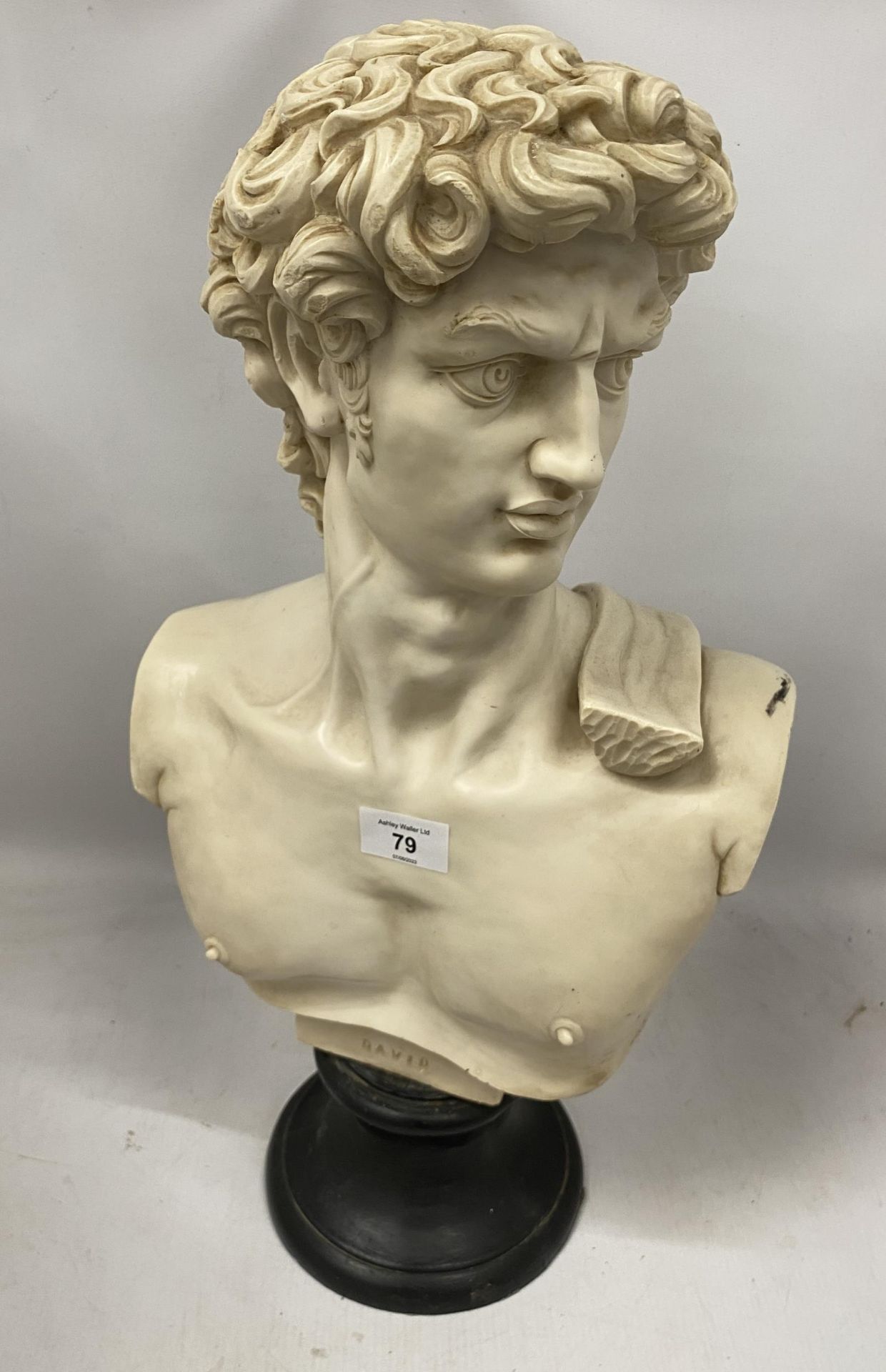 A LARGE DECORATIVE HEAVY RESIN BUST OF DAVID, HEIGHT 53CM