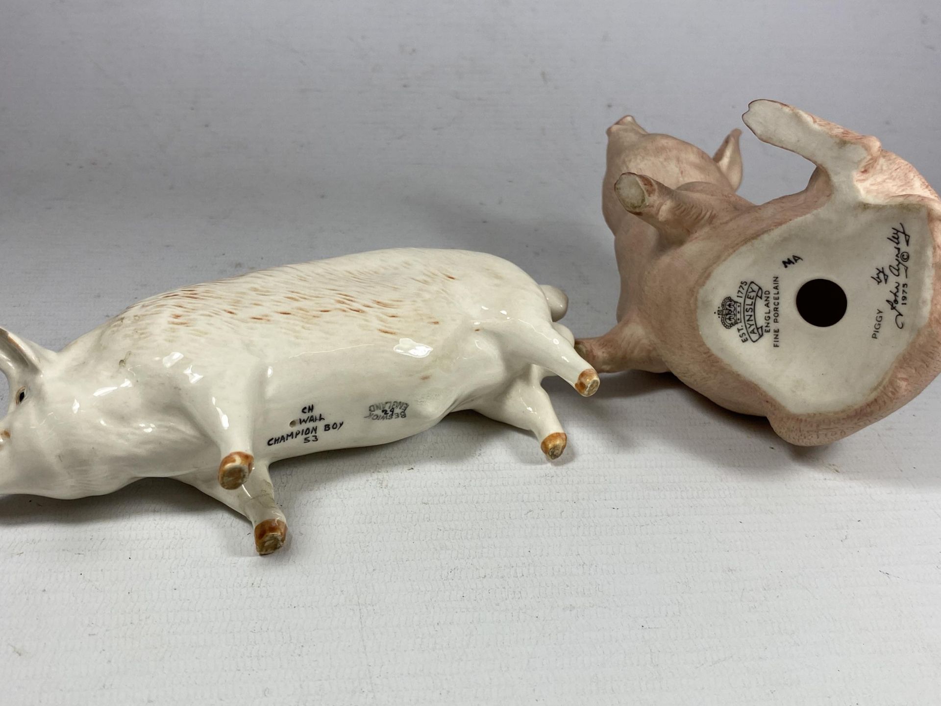 TWO CERAMIC PIGS - A BESWICK CH WALL CHAMPION BOY 53 AND AN AYNSLEY 'PIGGY' (CHIP TO EAR) - Image 4 of 4