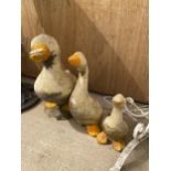 THREE GRADUATED PAINTED RECONSTITUTED STONE DUCK FIGURES