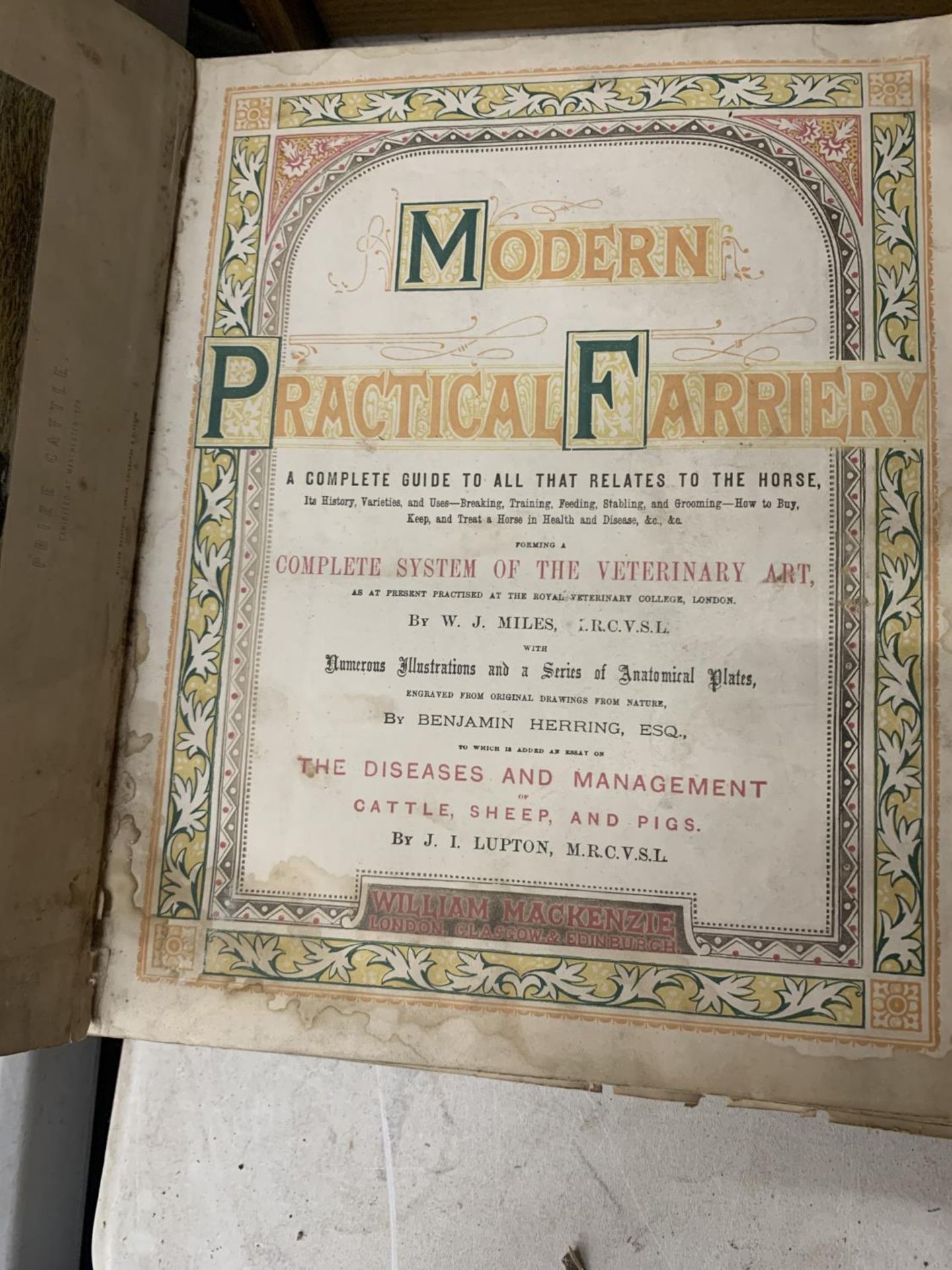 A QUANTITY OF ANTIQUARIAN BOOKS TO INCLUDE 'MODERN PRACTICAL FARRIERY', 'CARTOONS FROM PUNCH', ETC - - Image 5 of 5