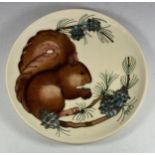 A LIMITED EDITION MOORCROFT POTTERY SQUIRREL PATTERN PLATE, NUMBER 330/500, 1995