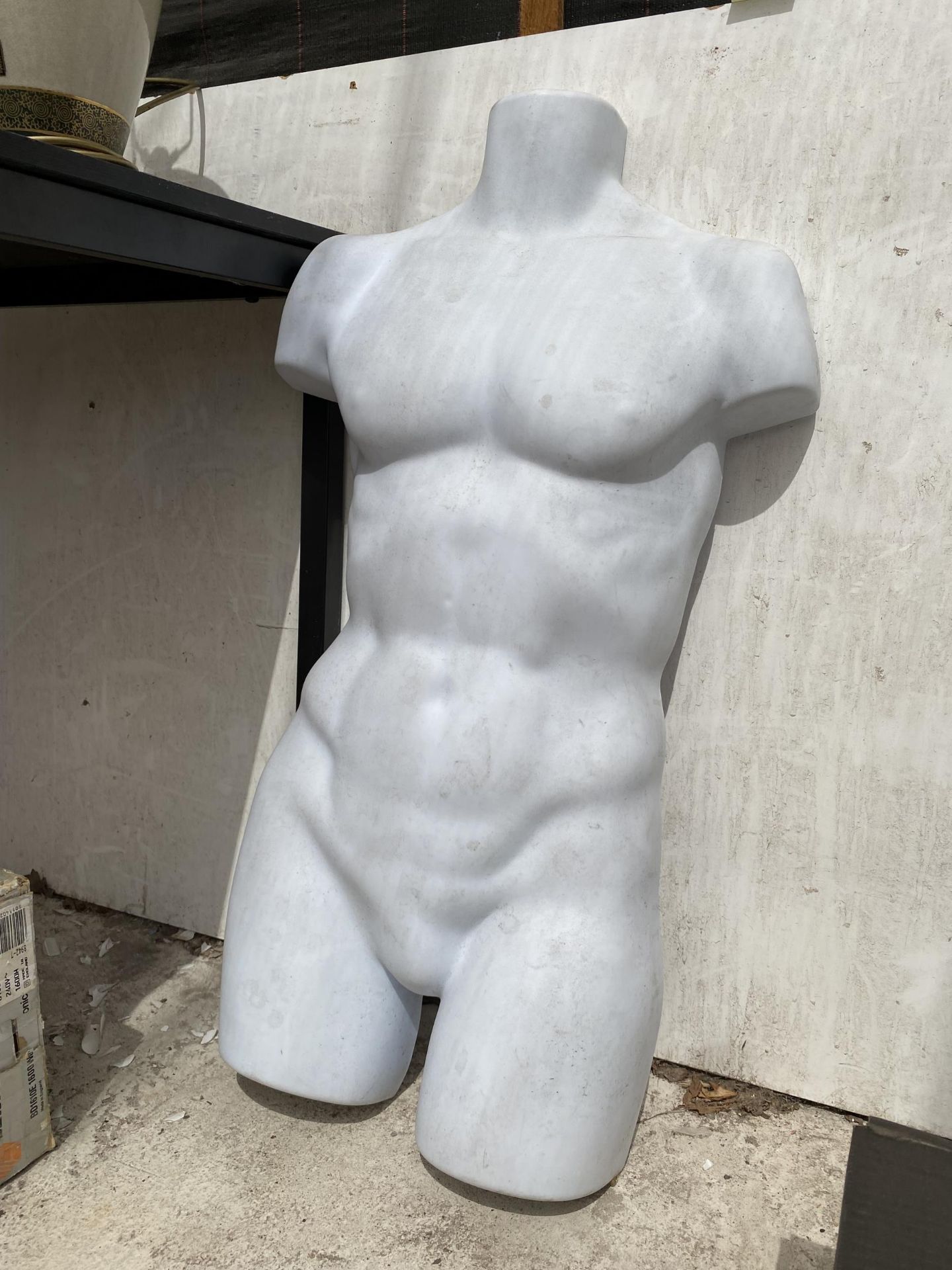 A PLASTIC HANGING MALE TORSO