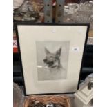 A FRAMED ARTIST PROOF PENCIL DRAWING OF A DOG 'ALERT' SIGNED 'GOFFEY'