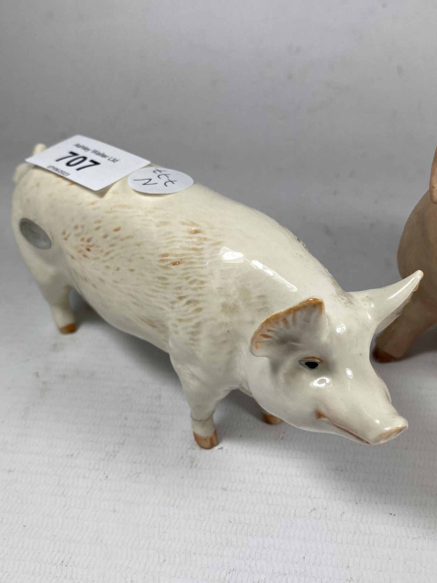 TWO CERAMIC PIGS - A BESWICK CH WALL CHAMPION BOY 53 AND AN AYNSLEY 'PIGGY' (CHIP TO EAR) - Image 3 of 4