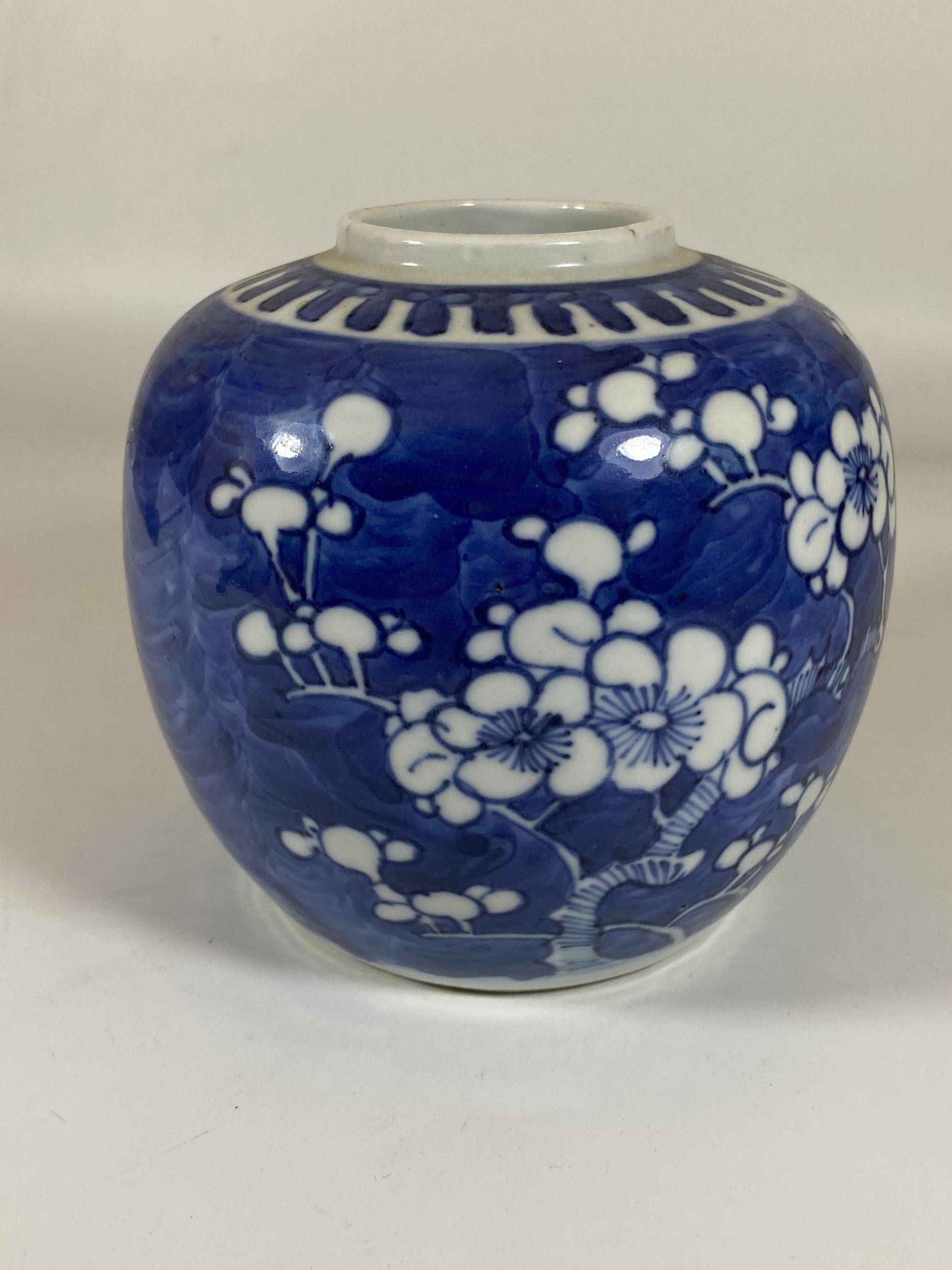 AN EARLY 20TH CENTURY CHINESE BLUE AND WHITE PRUNUS BLOSSOM GINGER JAR, DOUBLE RING MARK TO BASE, - Image 3 of 5