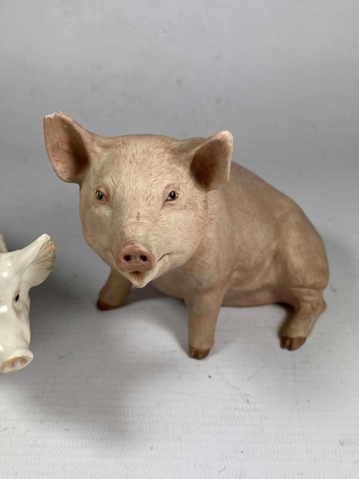 TWO CERAMIC PIGS - A BESWICK CH WALL CHAMPION BOY 53 AND AN AYNSLEY 'PIGGY' (CHIP TO EAR) - Image 2 of 4