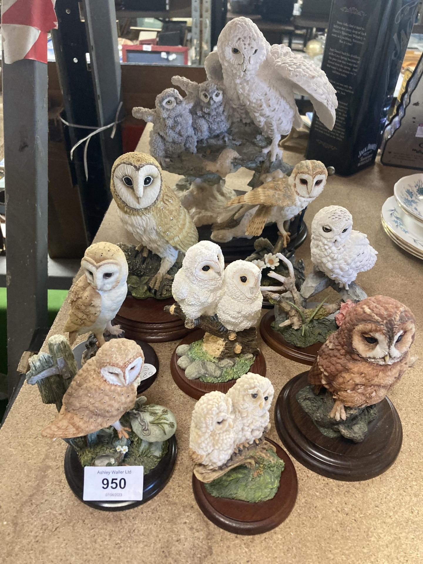 A COLLECTION OF OWL FIGURES ON WOODEN BASES