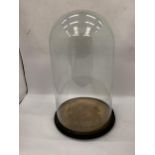 A VINTAGE GLASS DISPLAY CLOCHE DOME, HEIGHT 45CM