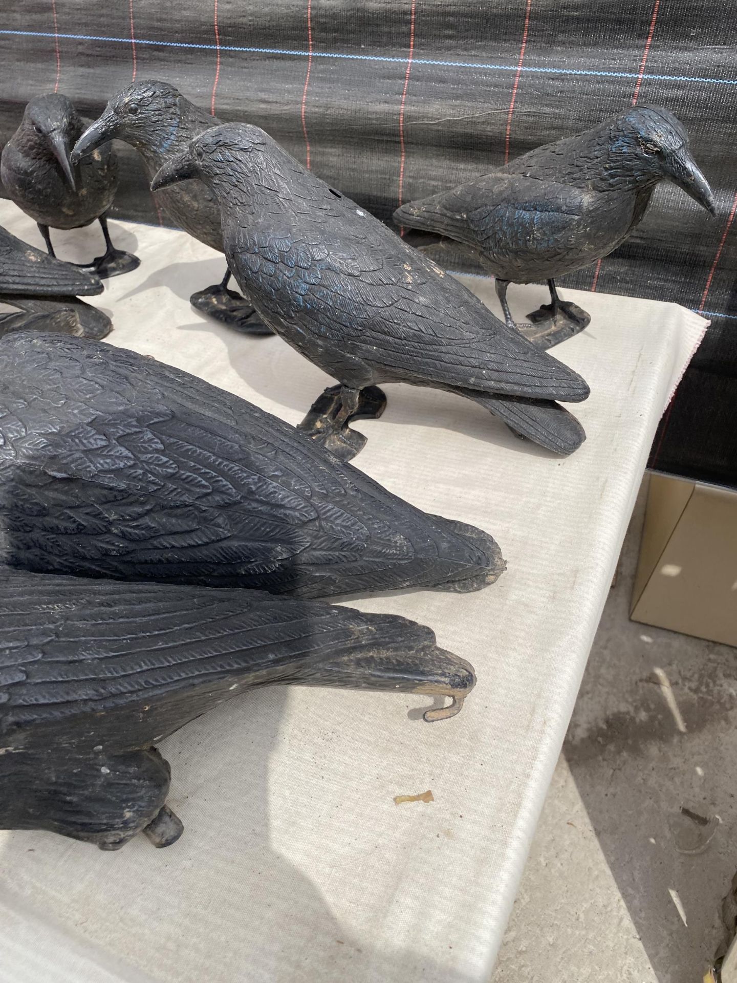 ELEVEN PLASTIC CROW DECOYS - Image 2 of 2