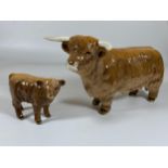 A BESWICK HIGHLAND BULL, MODEL 2008 & HIGHLAND CALF, MODEL 1827D, ONE HORN A/F