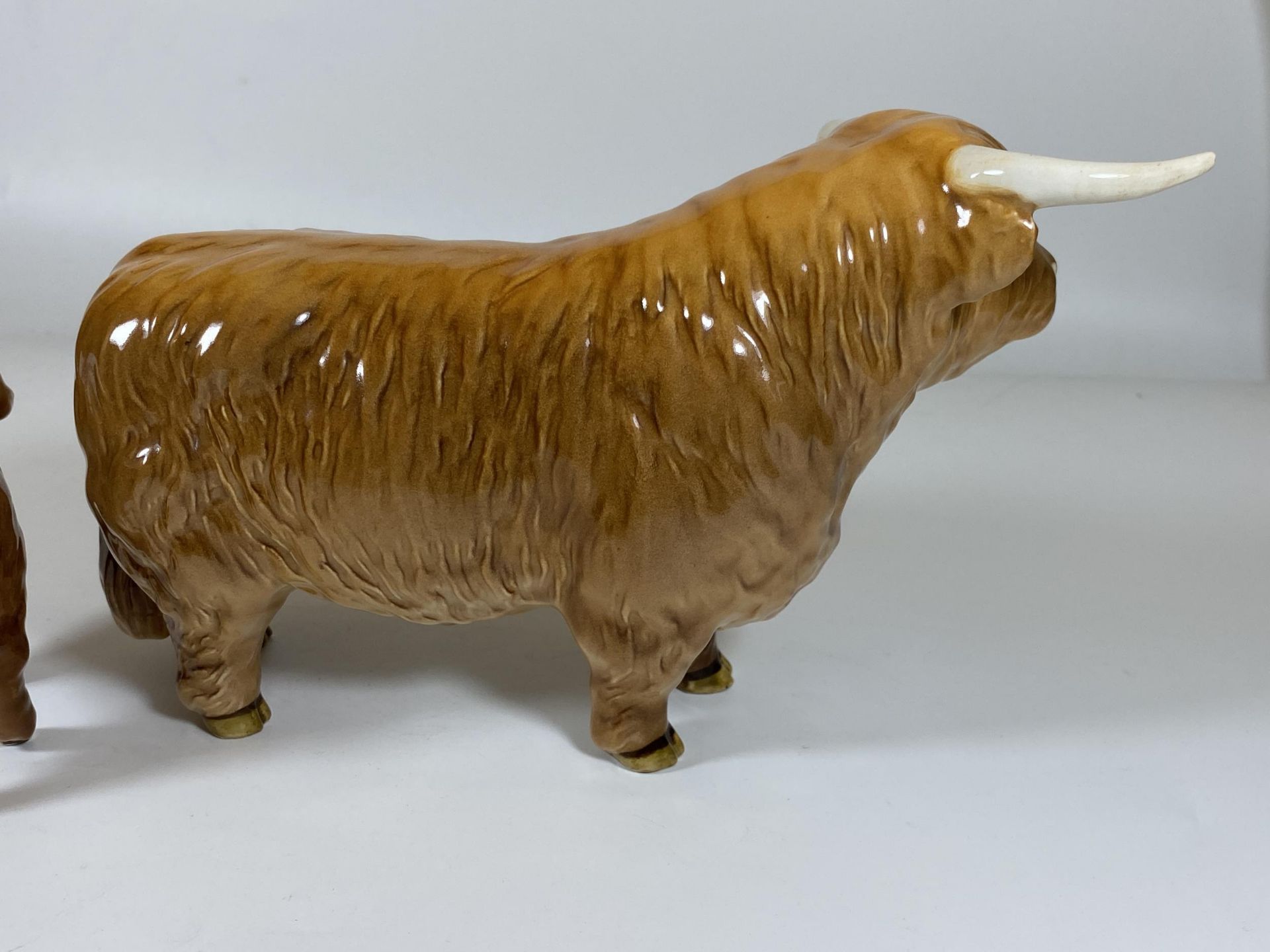 A BESWICK HIGHLAND BULL, MODEL 2008 & HIGHLAND CALF, MODEL 1827D, ONE HORN A/F - Image 2 of 5