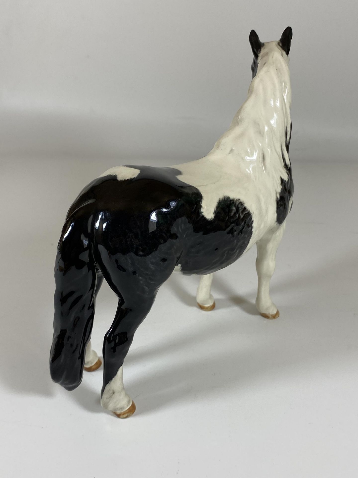 A BESWICK PINTO PIEBALD 1373 GLOSS HORSE FIGURE, HEIGHT 16.5CM - Image 2 of 3