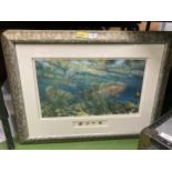 A LARGE FRAMED PRINT OF A SALMON WITH FISHING FLIES