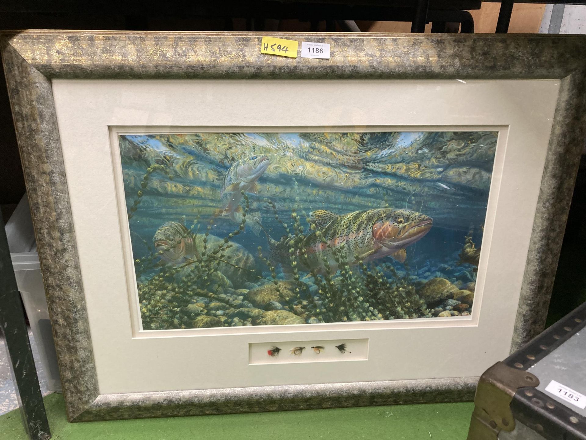 A LARGE FRAMED PRINT OF A SALMON WITH FISHING FLIES