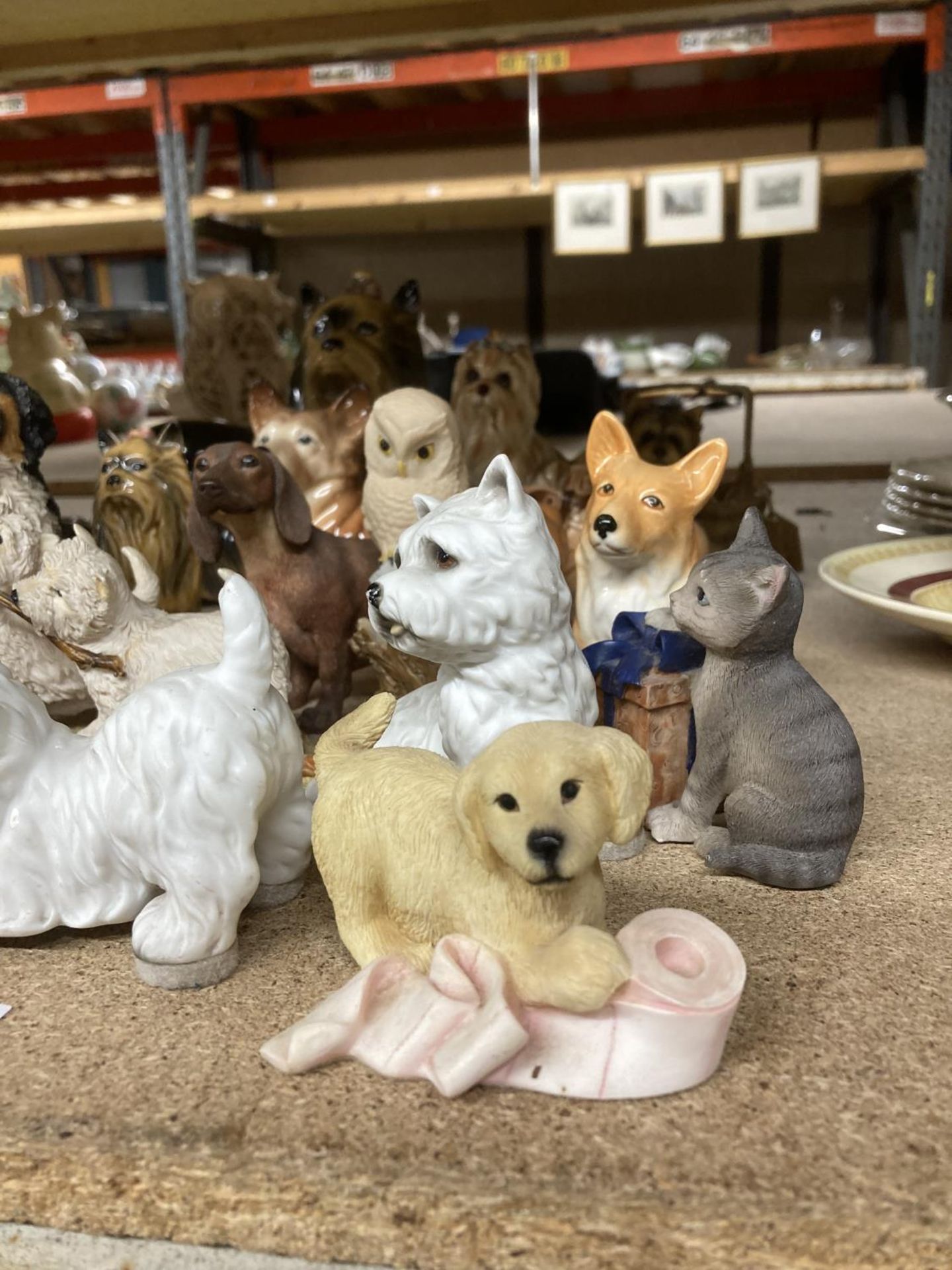 A COLLECTION OF DOG FIGURES - Image 4 of 4