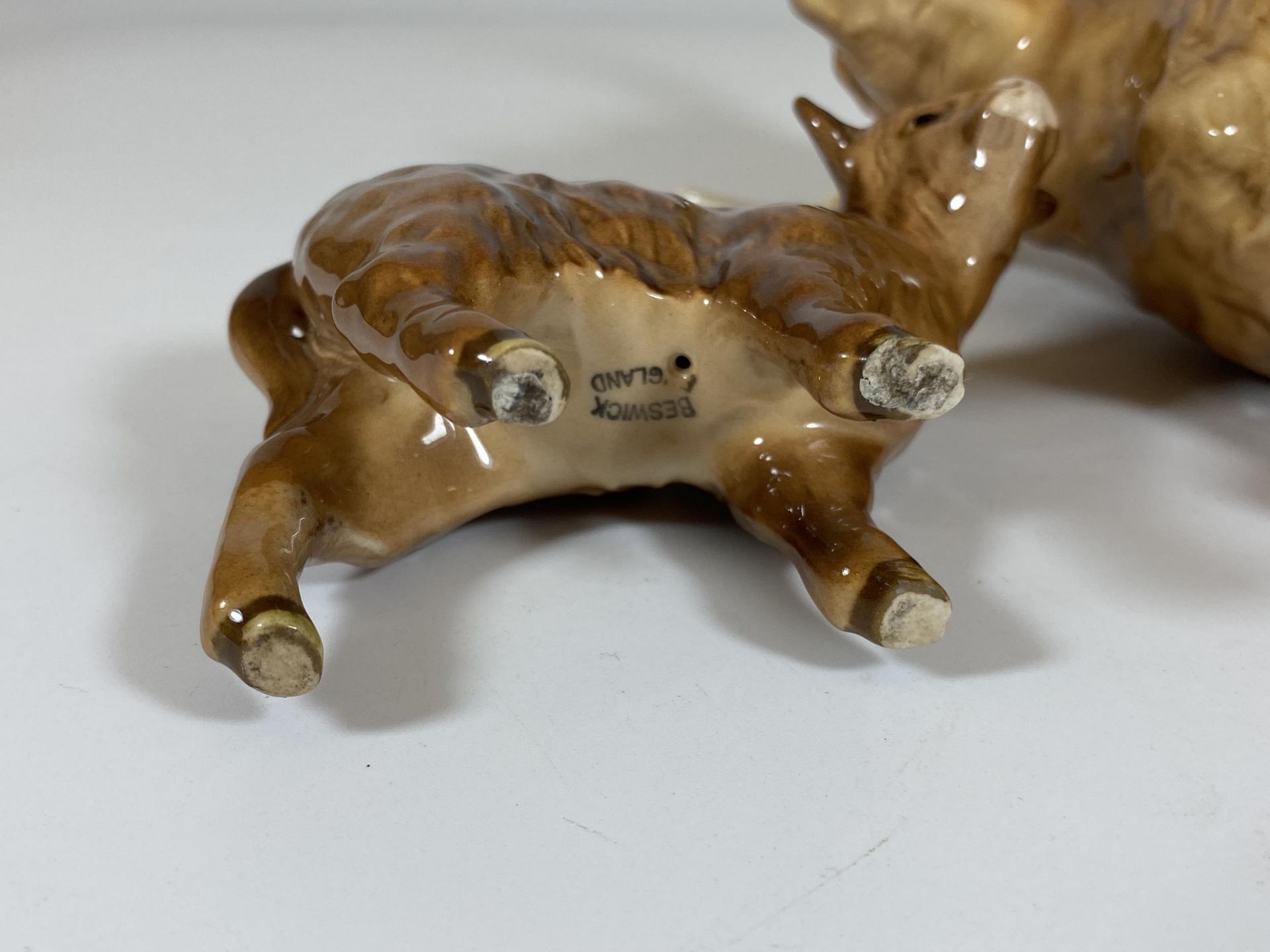 A BESWICK HIGHLAND BULL, MODEL 2008 & HIGHLAND CALF, MODEL 1827D, ONE HORN A/F - Image 5 of 5