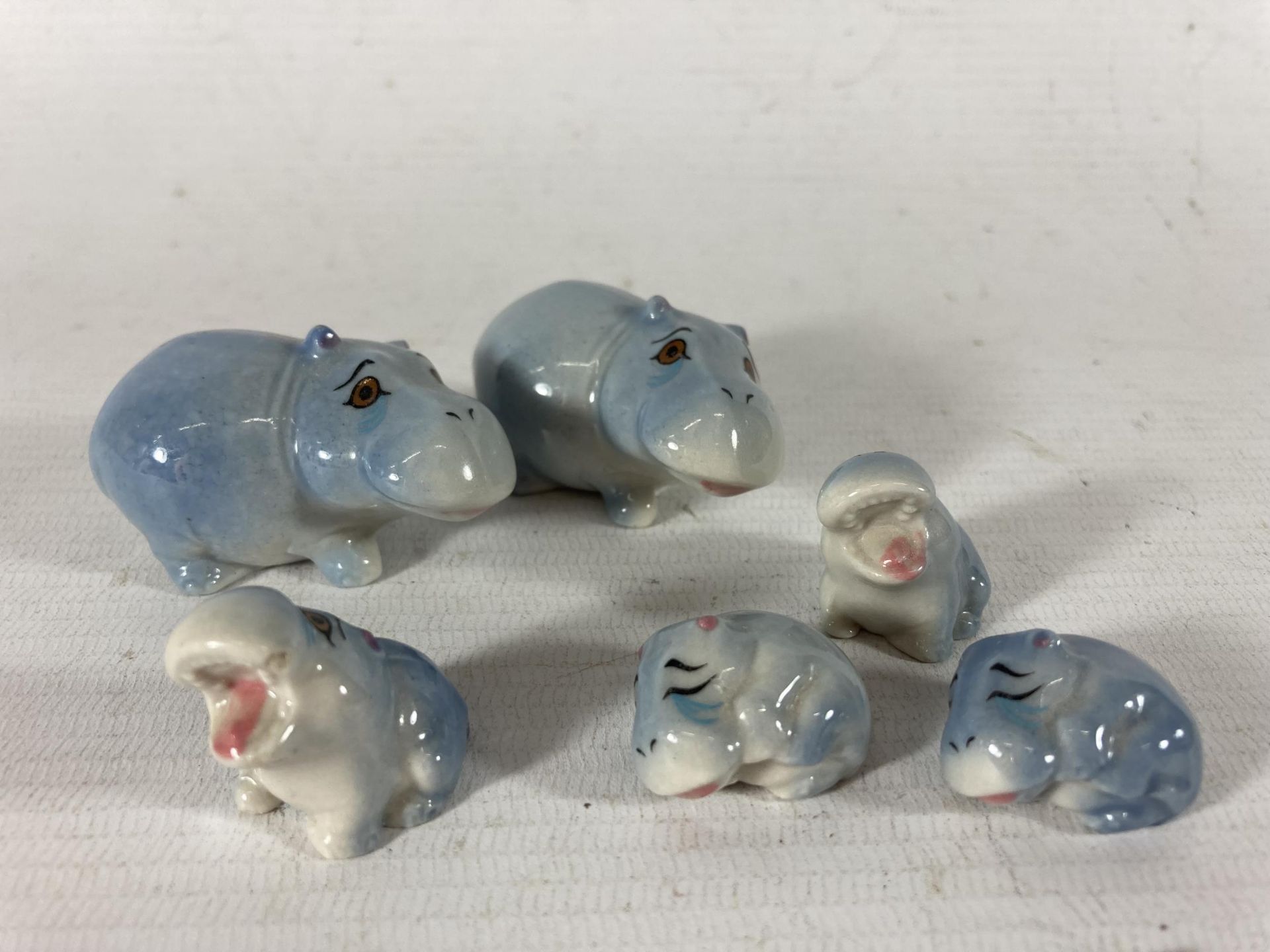 TWO WADE HIPPO FAMILIES