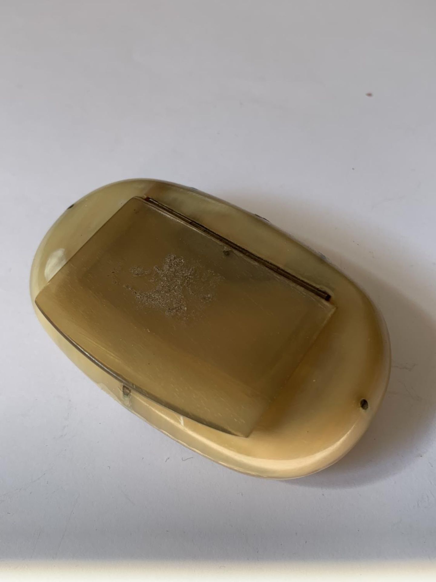 A HORN SNUFF BOX