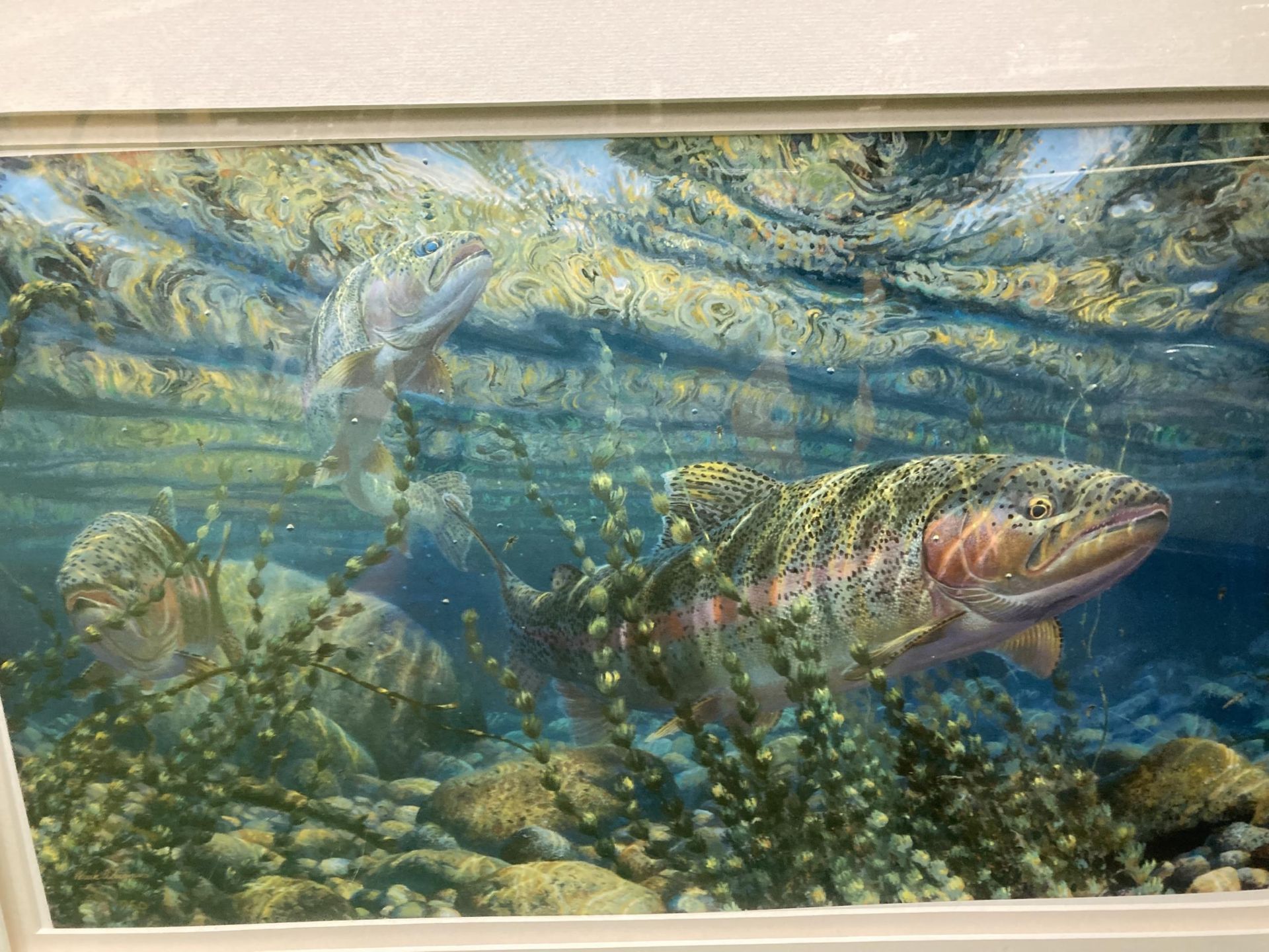 A LARGE FRAMED PRINT OF A SALMON WITH FISHING FLIES - Image 3 of 5