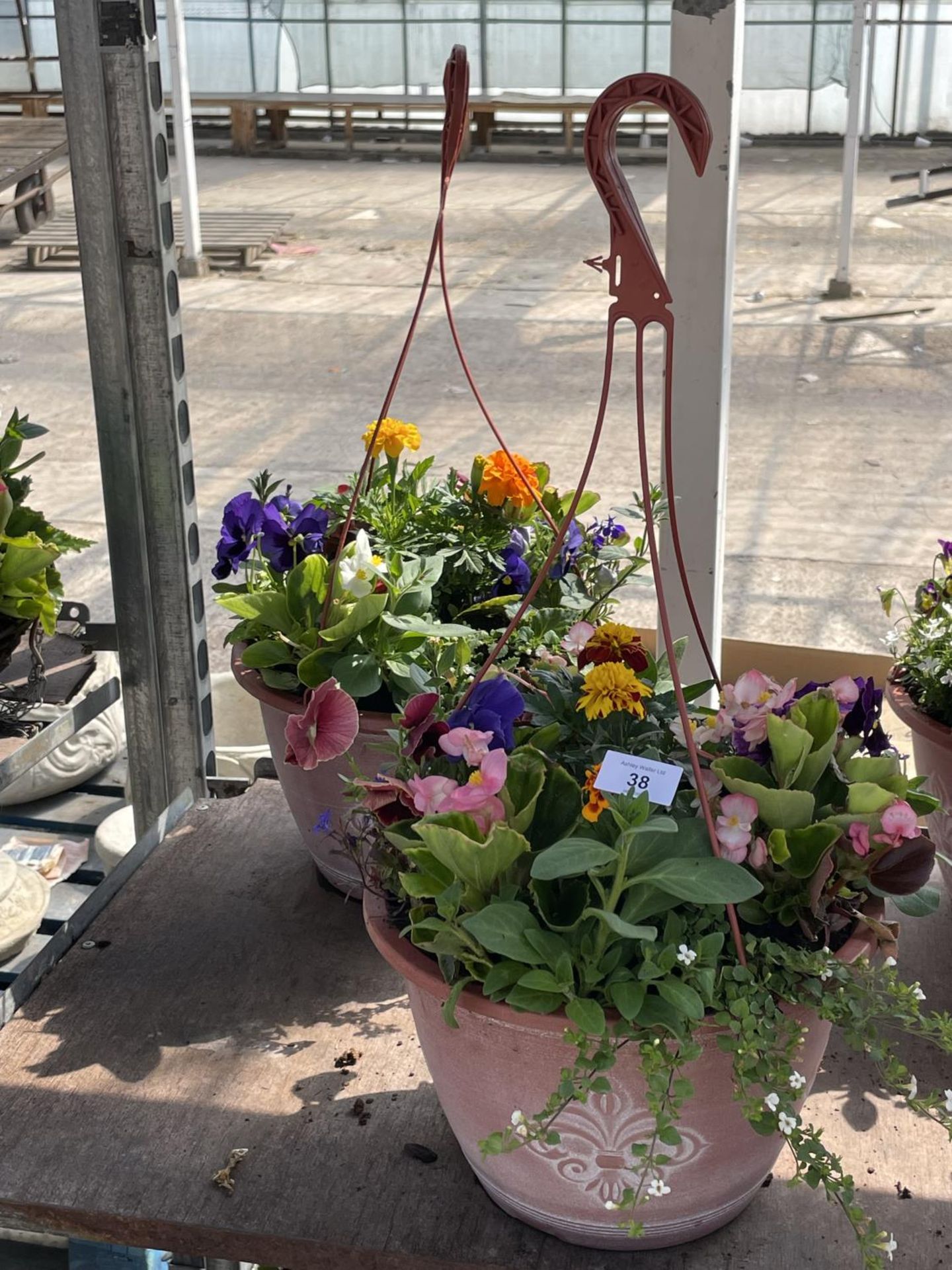 TWO PLASTIC HANGING BASKETS MIXED BEDDING + VAT