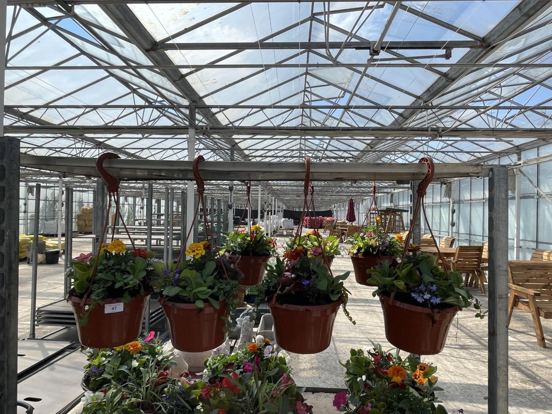 FOUR HANGING POTS WITH MIXED BEDDING + VAT