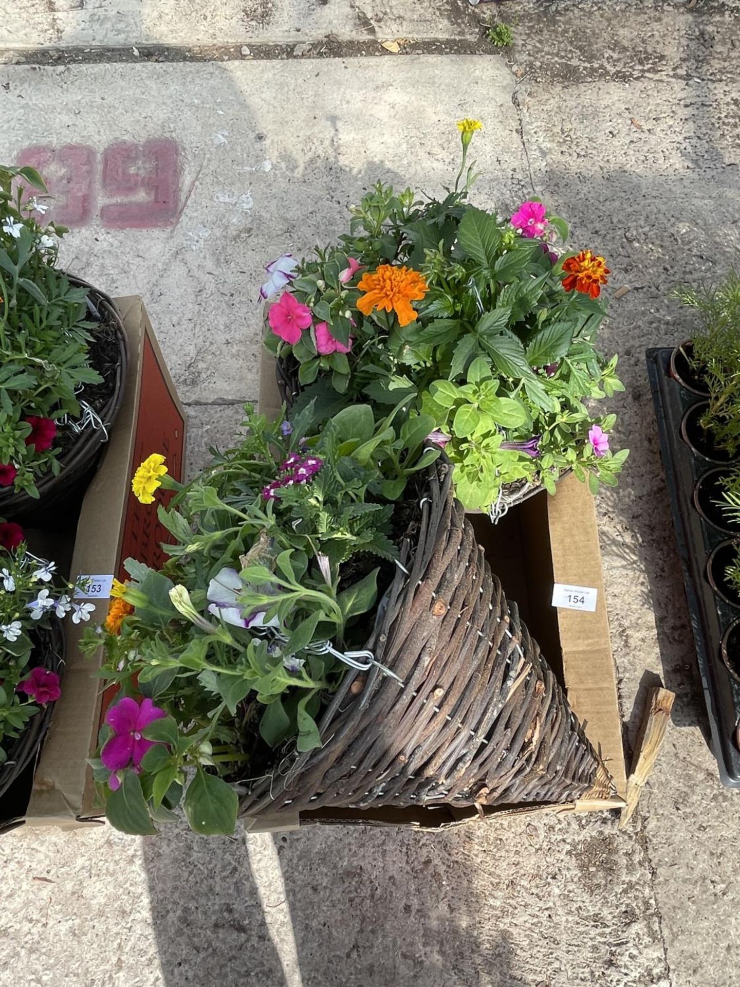 TWO WICKER CONE HANGING BASKETS + VAT