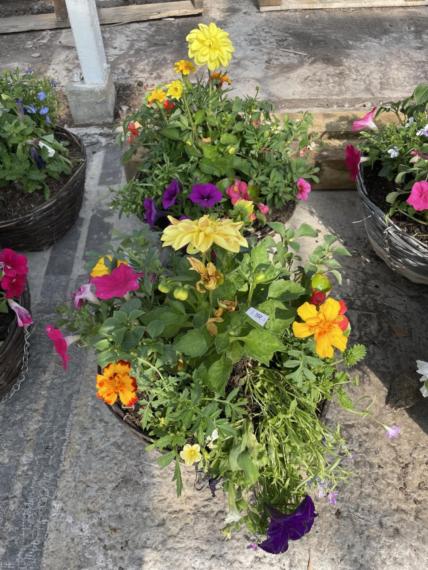 TWO WICKER HANGING BASKETS + VAT