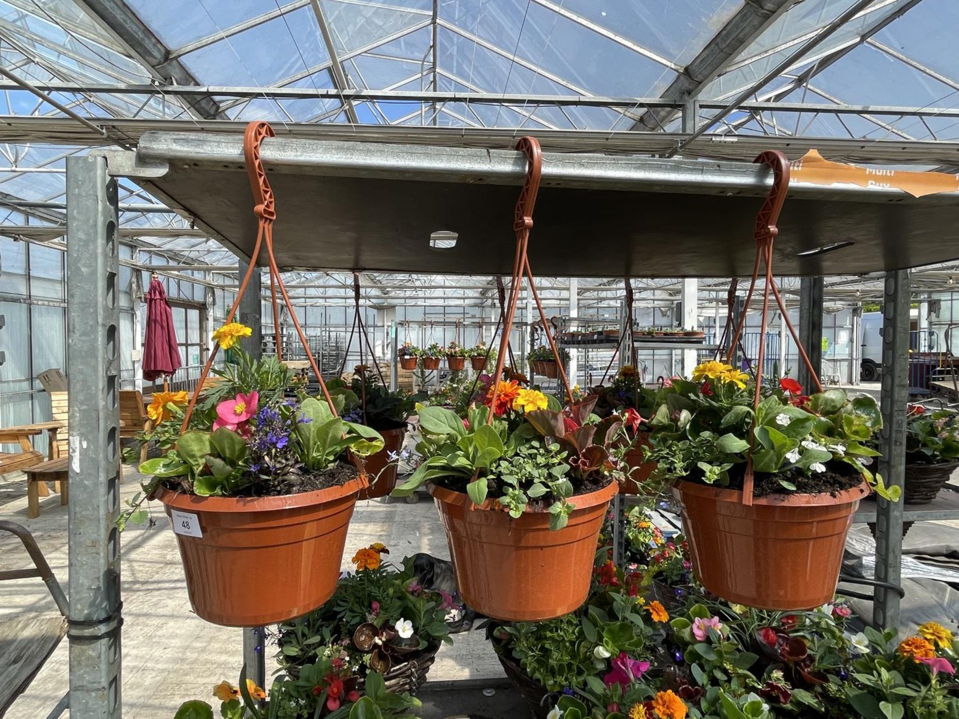 THREE HANGING BASKETS WITH MIXED BEDDING + VAT
