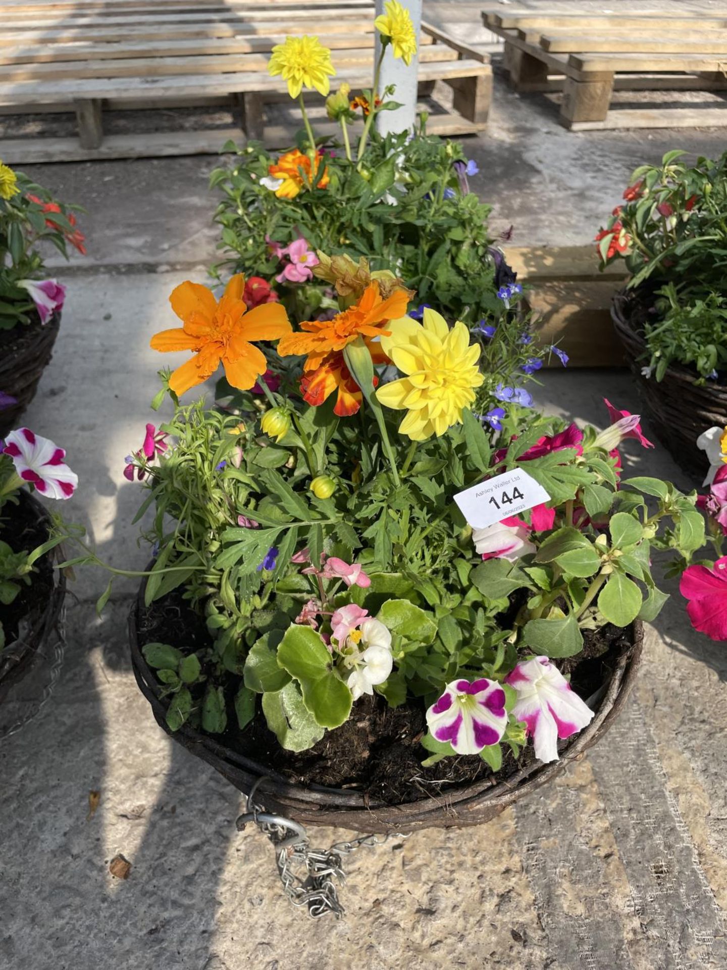 TWO WICKER HANGING BASKETS + VAT