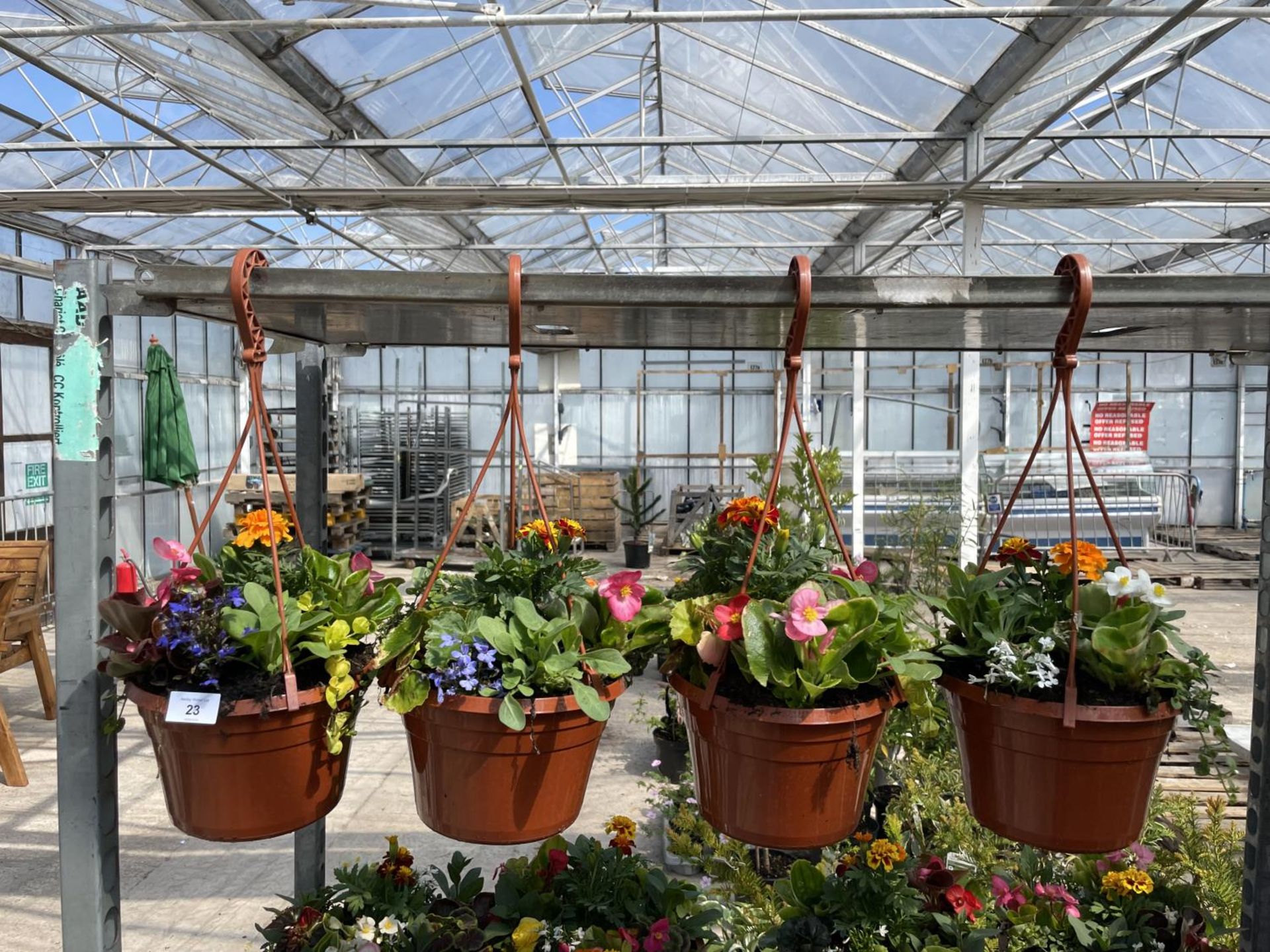 FOUR HANGING POTS MIXED BEDDING + VAT