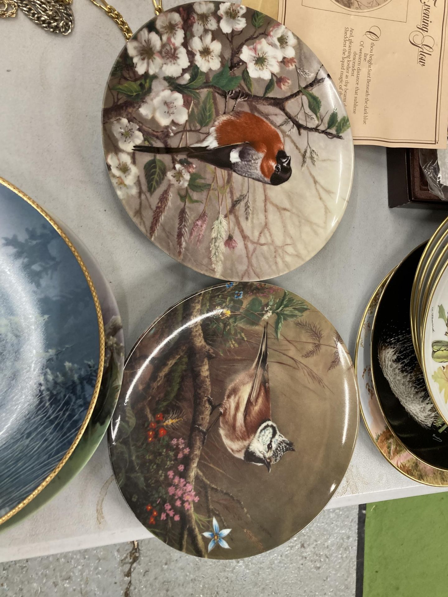 A GROUP OF ASSORTED CABINET PLATES , W.J GEORGE CHINA ETC - Image 7 of 7