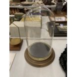 A GLASS DISPLAY DOME WITH A WOODEN BASE