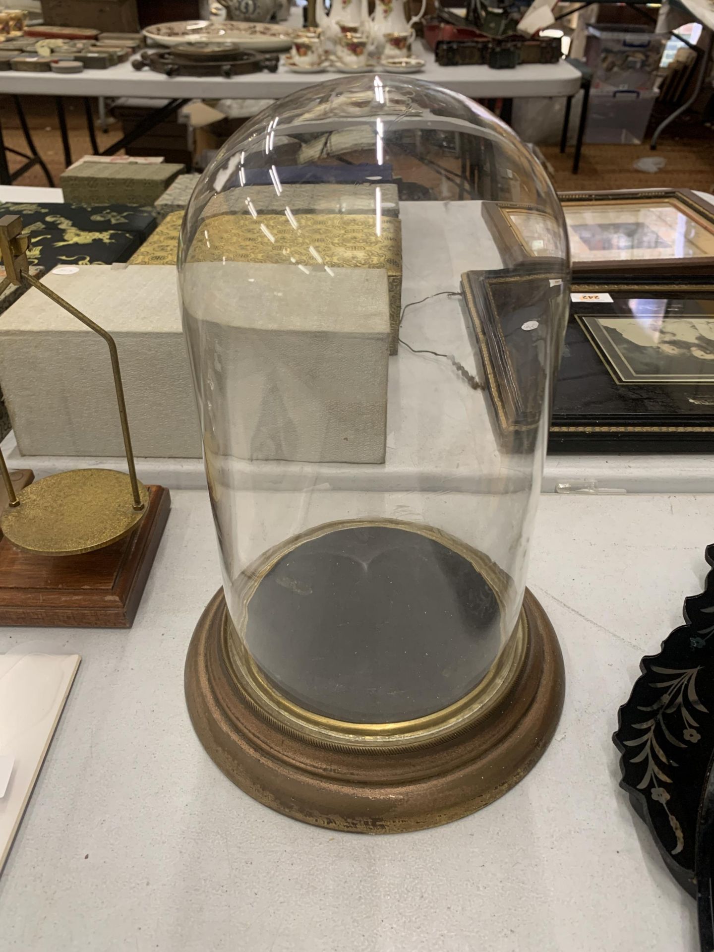 A GLASS DISPLAY DOME WITH A WOODEN BASE