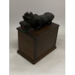 A VINTAGE MAHOGANY BOX WITH A CARVED DOG TO THE TOP, WITH NODDING HEAD