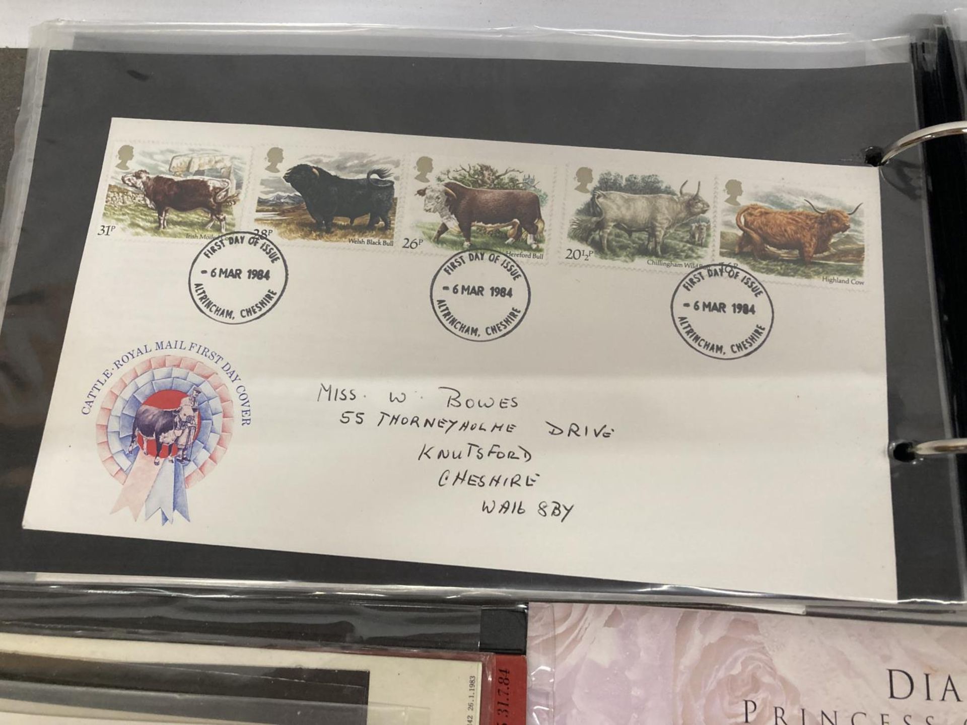 A CADDETTE ALBUM CONTAINING FIRST DAY COVERS TO INCLUDE THE FALKLANDS, BRITISH GARDENS BRITISH FAIRS - Bild 4 aus 8