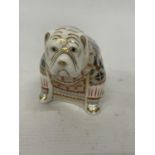 A ROYAL CROWN DERBY BULLDOG PAPERWEIGHT, SILVER STOPPER