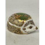 A ROYAL CROWN DERBY HOLLY HEDGEHOG WITH GOLD STOPPER