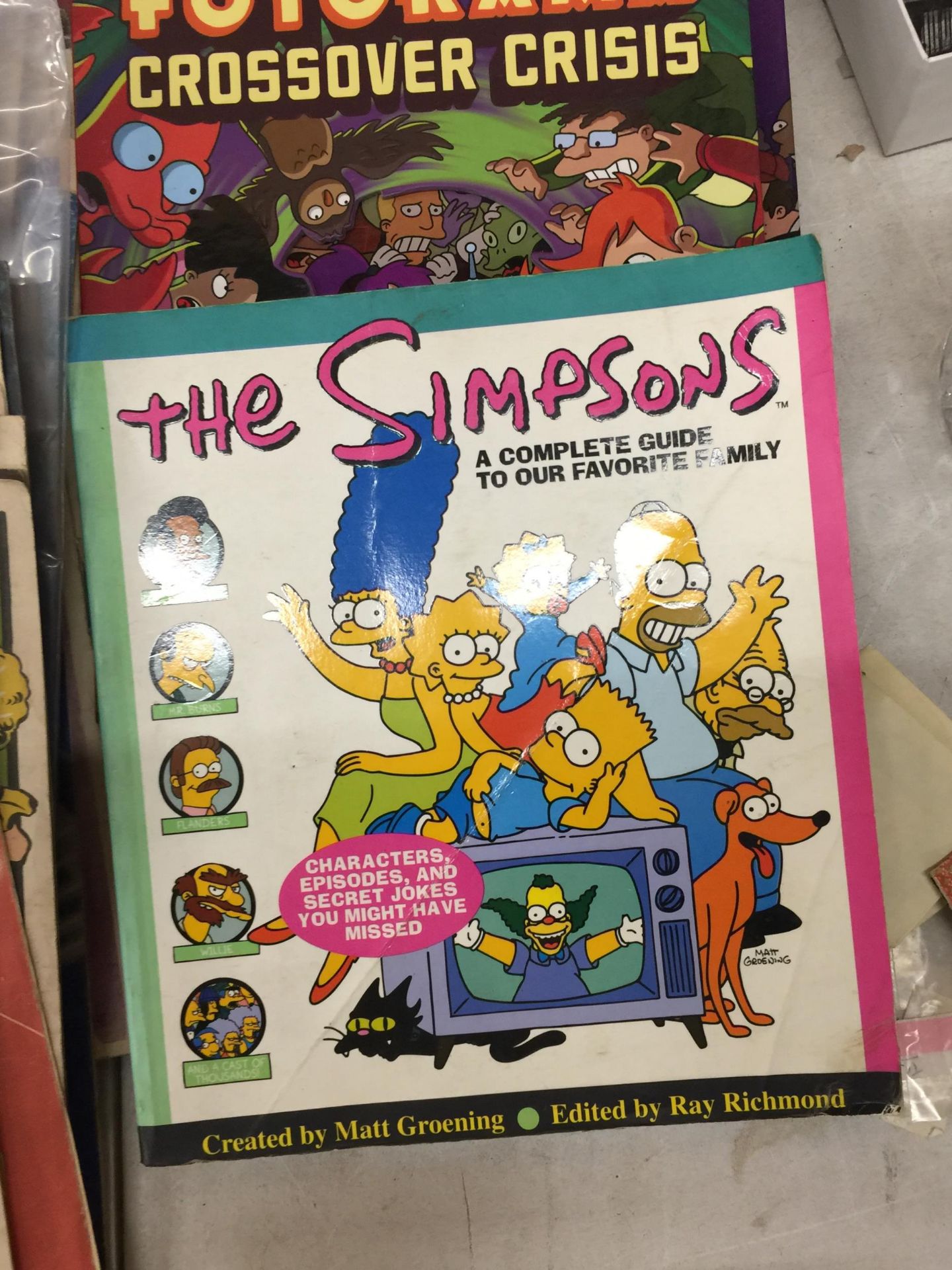 A QUANTITY OF 'THE SIMPSONS' BOOKS TO INCLUDE A CHRISTIES ANIMATION AND ART CATALOGUE - Image 2 of 3