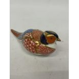 A ROYAL CROWN DERBY PHEASANT (SECOND)